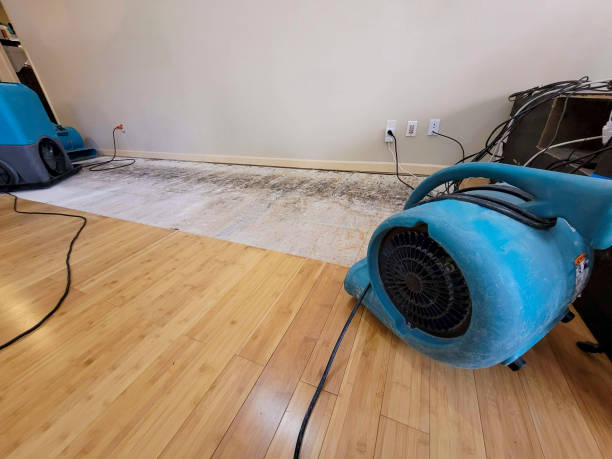 Professional Structural Drying technician working in Tabor, SD